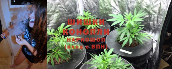 каннабис Верея