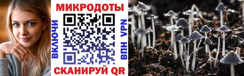 Галлюциногенные грибы ЛСД Рыбинск